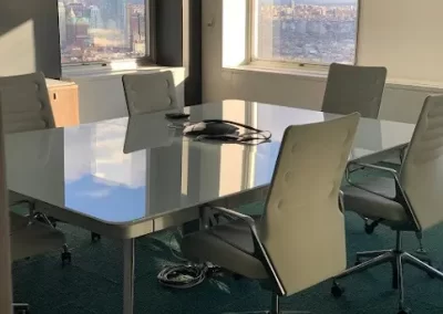 Professional Cleaning Services (1)