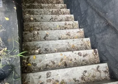 Professional Cleaning Services (8)